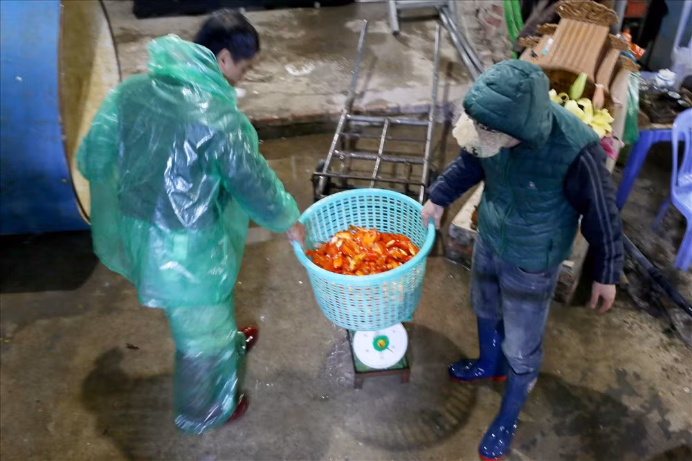 Để phục vụ người dân tiễn Táo quân về trời, mỗi ngày các tiểu thương chợ cá Yên Sở nhập hàng tấn cá chép đủ loại.