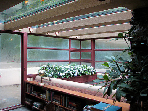 Vườn hoa trong nhà.