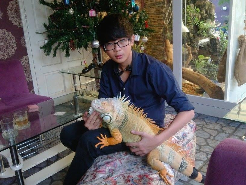 Những con cự đà này rẻ nhất cũng có giá vài triệu đồng/con. Ảnh: Danchoithucung.