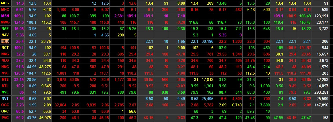 Cổ phiếu NBB trong tình trạng trắng bên mua trên sàn Hose. Ảnh: Sanhose.