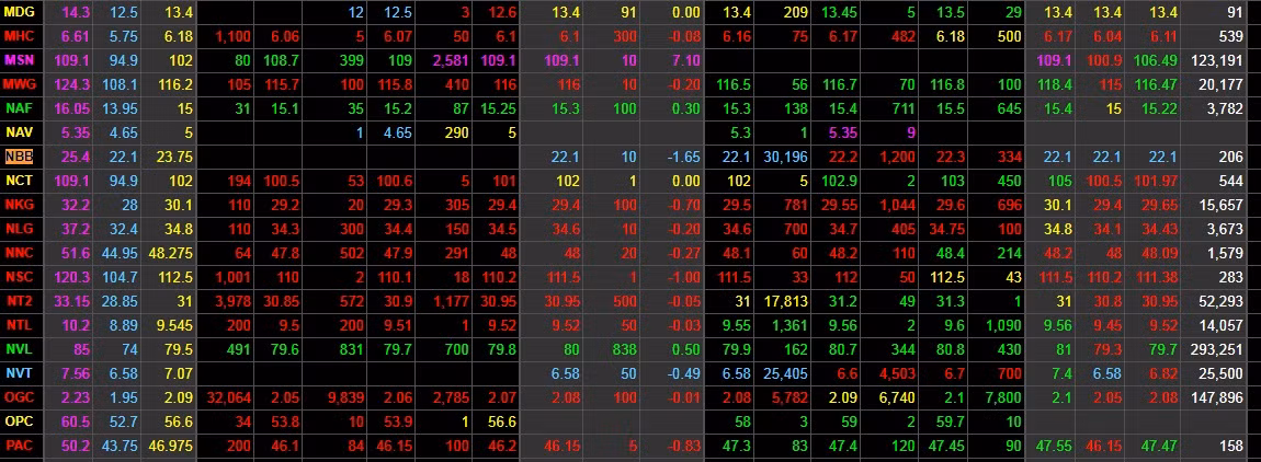 Cổ phiếu NBB trong tình trạng trắng bên mua trên sàn Hose. Ảnh: Sanhose.