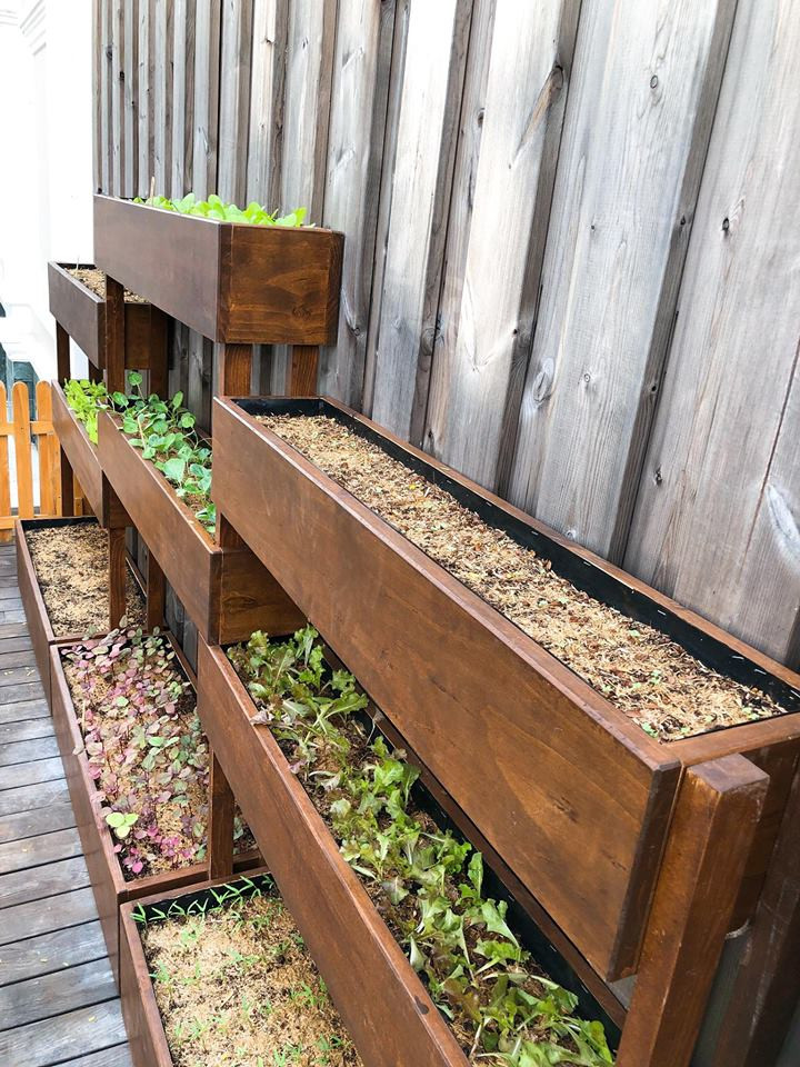 Các chậu gỗ được diễn viên Tăng Thanh Hà đặt thẳng hàng, vừa đẹp mắt, vừa tiết kiệm diện tích.