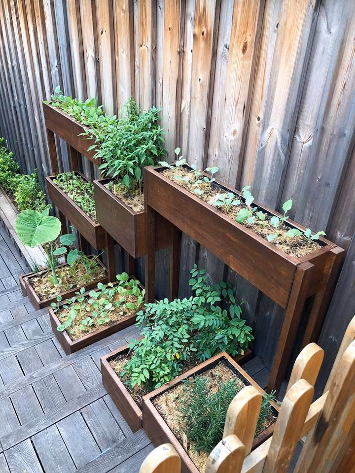 Mới đây, trên trang Facebook cá nhân, Tăng Thanh Hà tự hào khoe vườn rau sạch được bài trí đẹp mắt trong khuôn viên biệt thự.