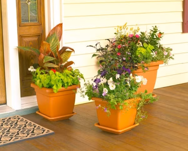 Khi nhà bạn có khoảng hiên nhà rộng rãi, điều đó không đồng nghĩa với việc cần trang trí cho toàn bộ diện tích này. Bởi việc trang trí dàn trải sẽ khiến không gian không có điểm nhấn và khá tốn kém về chi phí. Chúng tôi khuyên bạn nên chọn cách làm đẹp ngôi nhà bằng cách điểm tô lối vào với một vài chậu hoa đặt sát tường gần cửa.