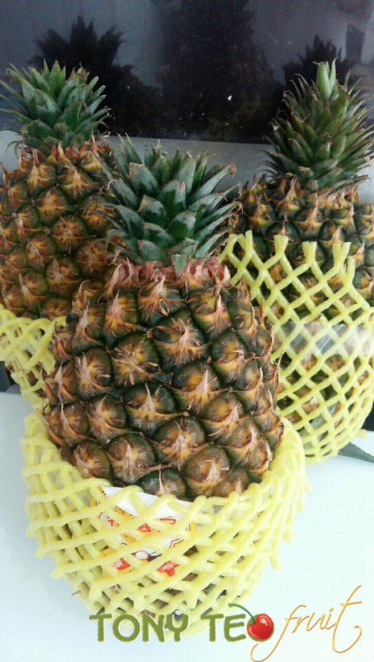 Tính ra, mỗi trái dứa Đài Loan có giá từ 130.000 - gần 200.000 đồng. Ảnh: Tony Tèo.