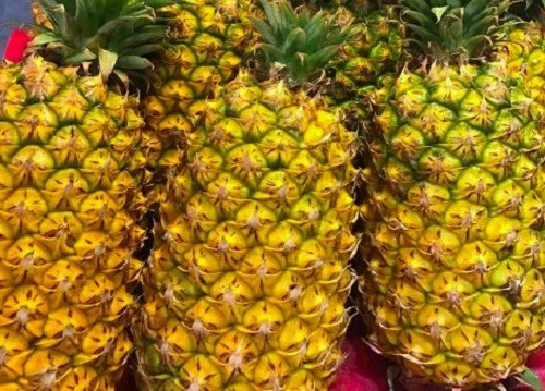 Dứa Đài Loan ít khi có sẵn, khách mua thường đặt trước khoảng 2-3 ngày. Ảnh: Vietnamnet.