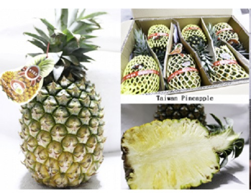 Chị Oanh, chủ một cửa hàng bán hoa quả nhập khẩu ở Hà Nội cho biết, dưa Đài Loan được nhập về Việt Nam khoảng 2 năm nay. Dù khá đắt nhưng dứa này khá hút khách, đặc biệt là vào mùa hè. Ảnh: Vininfuits.