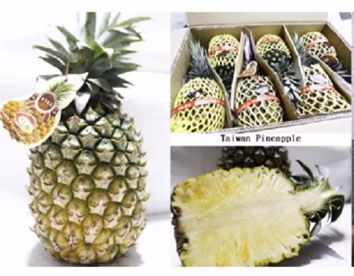 Chị Oanh, chủ một cửa hàng bán hoa quả nhập khẩu ở Hà Nội cho biết, dưa Đài Loan được nhập về Việt Nam khoảng 2 năm nay. Dù khá đắt nhưng dứa này khá hút khách, đặc biệt là vào mùa hè. Ảnh: Vininfuits.