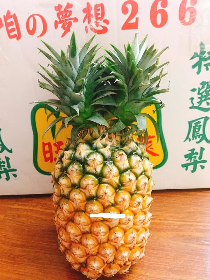 Kích thước gấp 2-3 dứa Việt Nam, dứa Đài Loan nhiều mắt, vỏ xù xì khô cứng. Ảnh: FB Khuc Ngoc Anh.