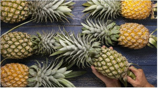 Dứa Đài Loan bán theo thùng, mỗi thùng dao động từ 750.000 - 1,2 triệu đồng (tùy theo số lượng và trọng lượng quả). Ảnh: Vinfruits.