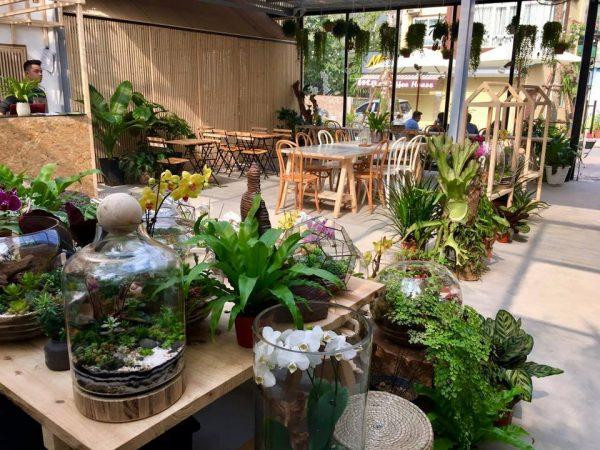 Có vẻ như không đơn thuần chỉ là quán cà phê nữa.