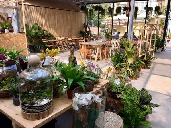 Có vẻ như không đơn thuần chỉ là quán cà phê nữa.