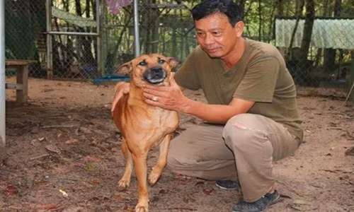 Bỏ ngang 5ha tôm sú đang lúc “ăn nên làm ra” để lập nên trang trại chó là quyết định táo bạo của ông Lê Quốc Tuấn (54 tuổi, ngụ TP.Rạch Giá, Kiên Giang). Ảnh: CA TPHCM.
