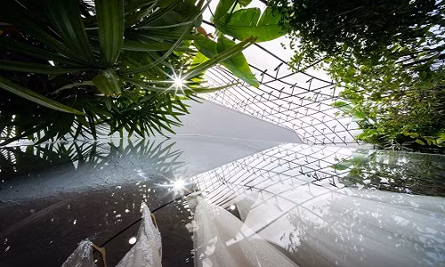  Nhà phố 4 tầng thiết kế hiện đại góp phần tạo ra vẻ đẹp đô thị. Nguồn ảnh: Quang Dam.