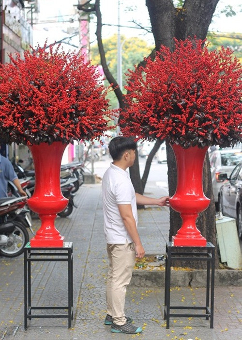 Mới đây, một đại gia bất động sản ở TP HCM đã bỏ ra 160 triệu đồng để mua cặp bình hoa đông đào màu đỏ chơi Tết. Ảnh: Infonet.