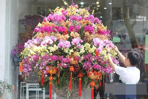 Chậu lan Hồ điệp cắm 8 tầng hoa, 7 màu, có giá 80 triệu đồng. Ảnh: Infonet.