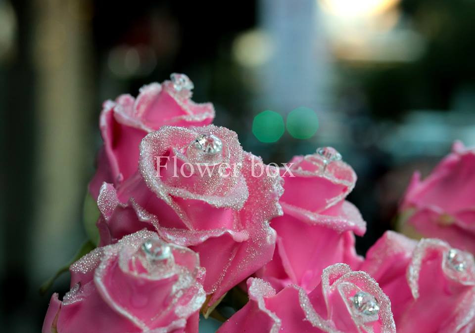 Đây là loại hoa hồng nhập khẩu, có giá khoảng 250.000 đồng/bông. Ảnh: Flower box.