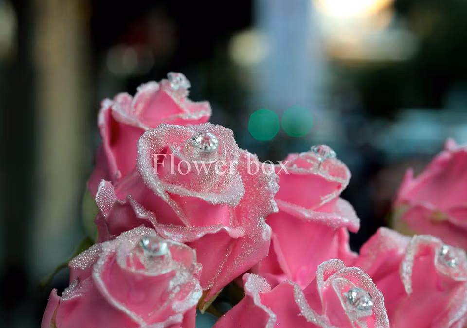 Đây là loại hoa hồng nhập khẩu, có giá khoảng 250.000 đồng/bông. Ảnh: Flower box.