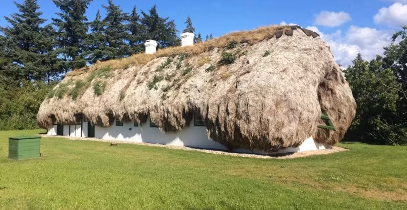 Rong biển và gỗ được ngâm tẩm trong nước mặn nên ngôi nhà gần như không thay đổi gì sau hơn 200 năm.