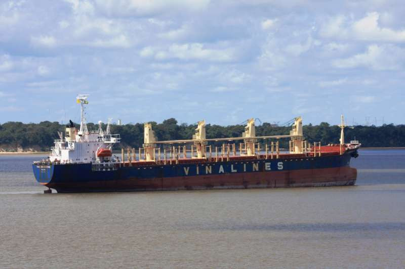 Vinalines Fortuna có trọng tải 26.369 DWT, được chi nhánh TP HCM mua năm 2009 với giá gần 20,7 triệu USD (giá trị thời đó là 341,5 tỷ đồng). Ảnh: Shipspotting.