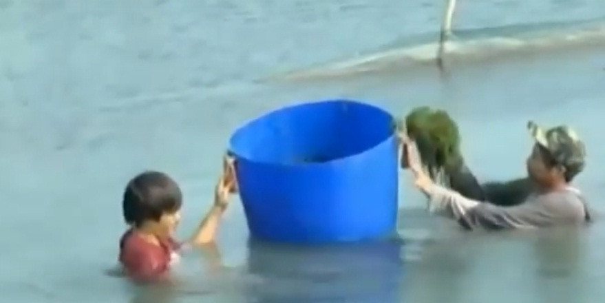 Với diện tích 4ha, bình quân mỗi ngày gia đình anh Trần Hùng thu hoạch hơn 60 kg rong nho tươi. Ảnh: VTV.