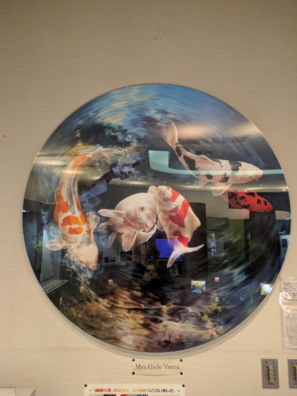 Màu sắc chủ yếu của cá koi là đỏ, đen, trắng, vàng, kem. Ảnh: Youtube.