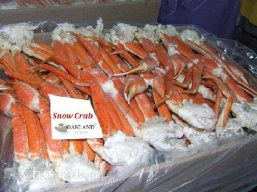 Chân cua tuyết thường được đóng gói thành túi. Trung bình mỗi túi gồm 3 - 5 chân/kg. Ảnh: Tructiep.
