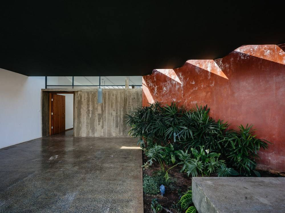 Khoảng xanh lấy ánh sáng từ khoảng hở nhỏ trên trần nhà.