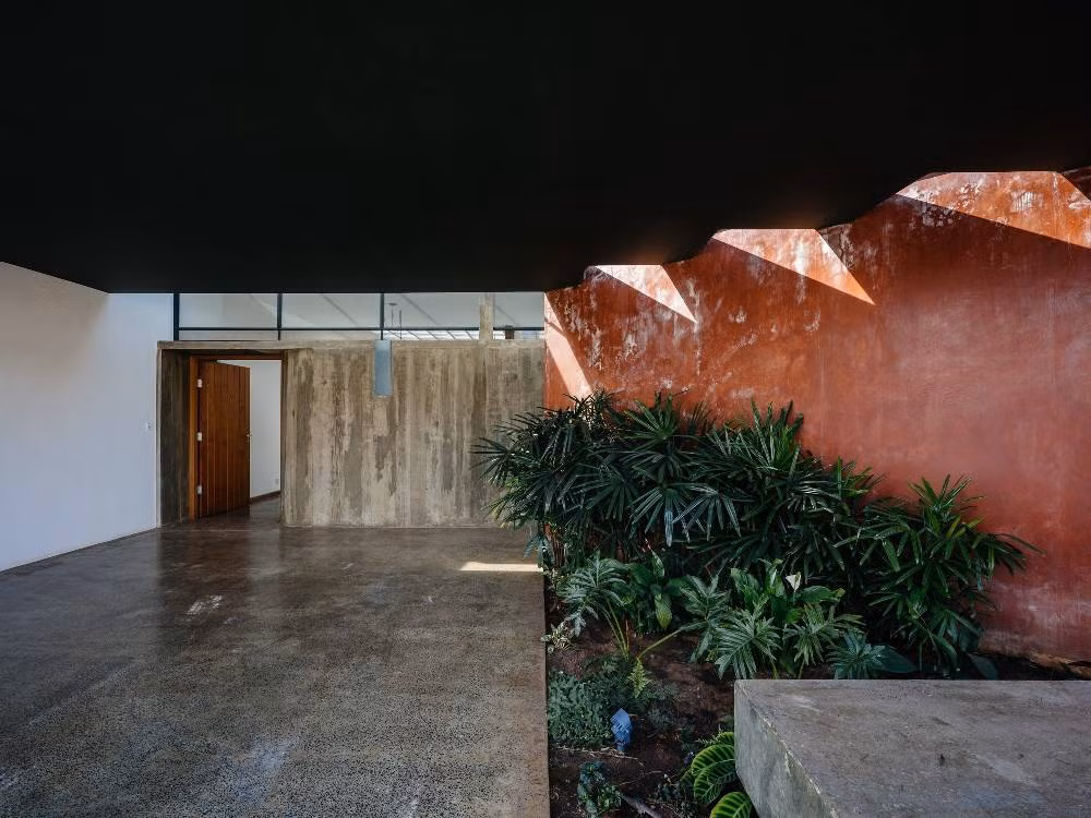 Khoảng xanh lấy ánh sáng từ khoảng hở nhỏ trên trần nhà.