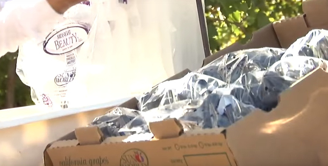 Xếp vào thùng gọn gàng. Ảnh: Youtube.