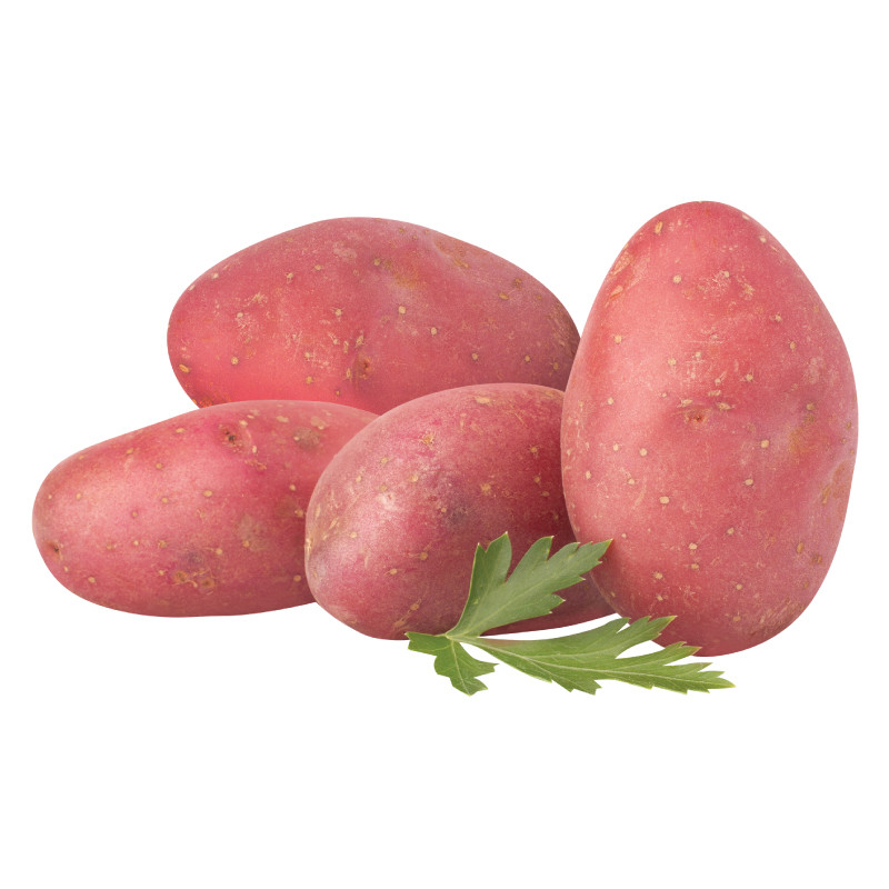 Ruột khoai tây Trung Quốc có màu vàng đậm còn ruột khoai tây Đà Lạt màu vàng nhạt. Ảnh: Originvn.