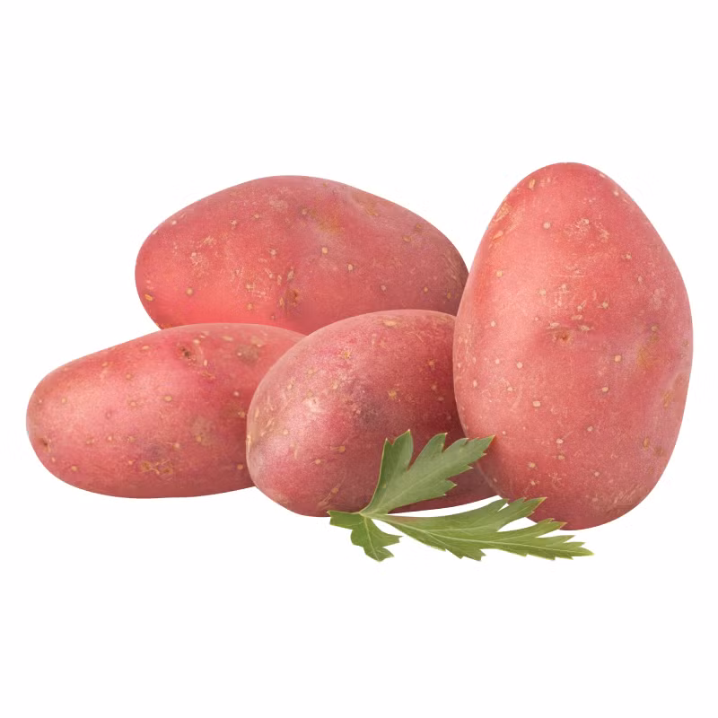 Ruột khoai tây Trung Quốc có màu vàng đậm còn ruột khoai tây Đà Lạt màu vàng nhạt. Ảnh: Originvn.