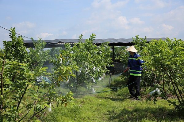 Đến năm 2003, với những nổ lực cải tạo giảm thiểu ô nhiễm của công ty, bãi chôn lấp rác Đông Thạnh đã được chứng nhận hoàn thành xử lý ô nhiễm theo Quyết định 64/2003/QĐ-Ttg của Thủ Tướng Chính Phủ