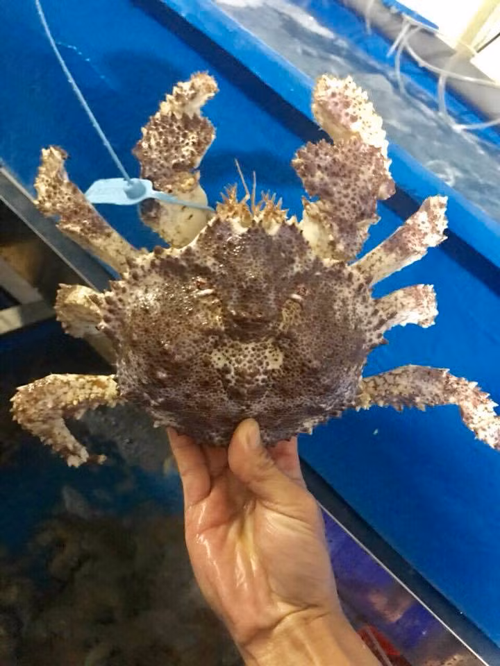 Nặng từ 1 - 1,5kg nên tính trung bình để mua một con cua ruby, khách hàng phải bỏ ra gần 2 triệu đồng. Ảnh: FB Thị Dung Trần.