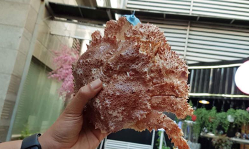 Đây là loại cua nhập khẩu từ Mỹ về Việt Nam theo đường xách tay. Ảnh: FCalisa Foods - tôm hùm AlaskaB.