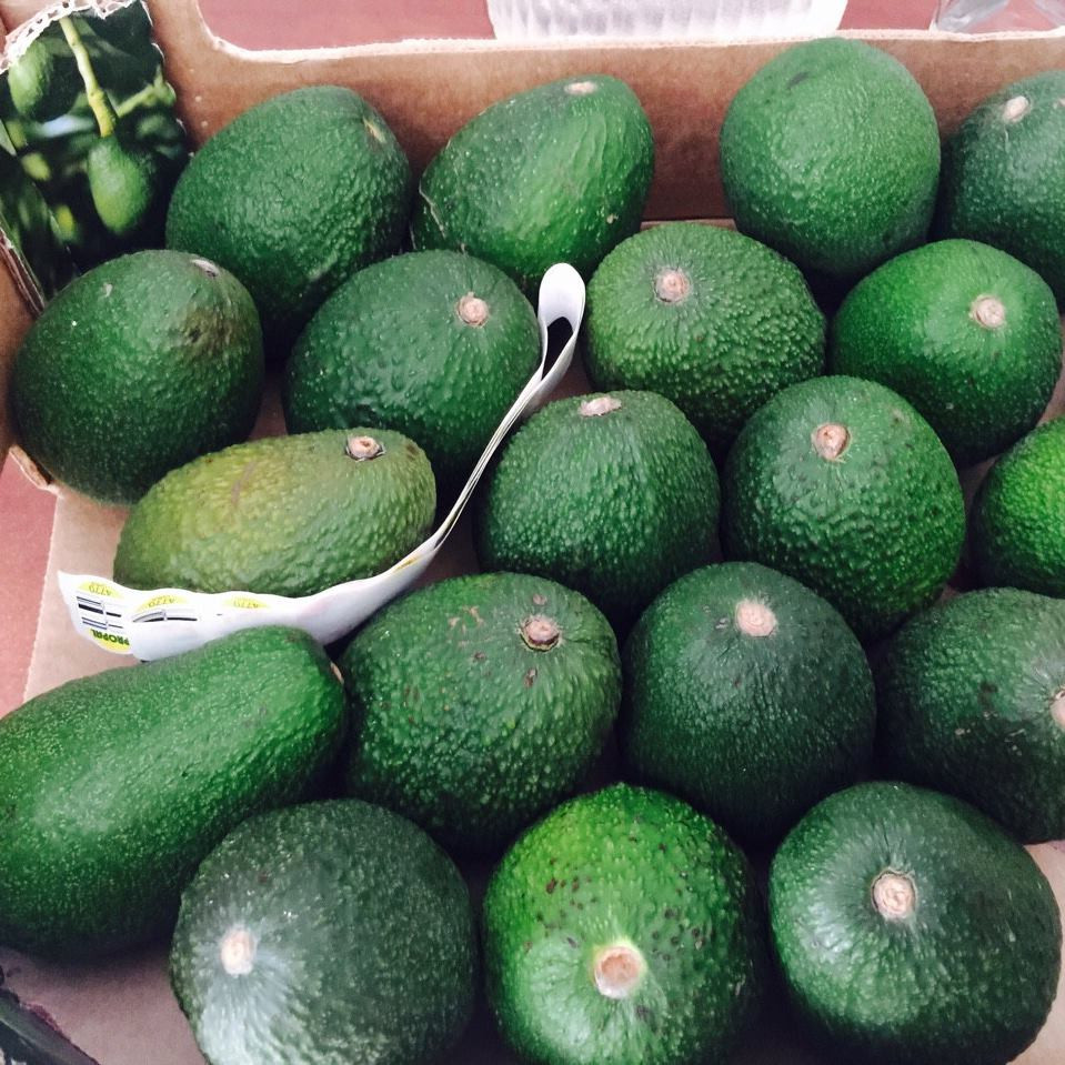 Đặc biệt, bơ Chile hiếm khi có sợi đen và đắng. Ảnh: VinFruits.