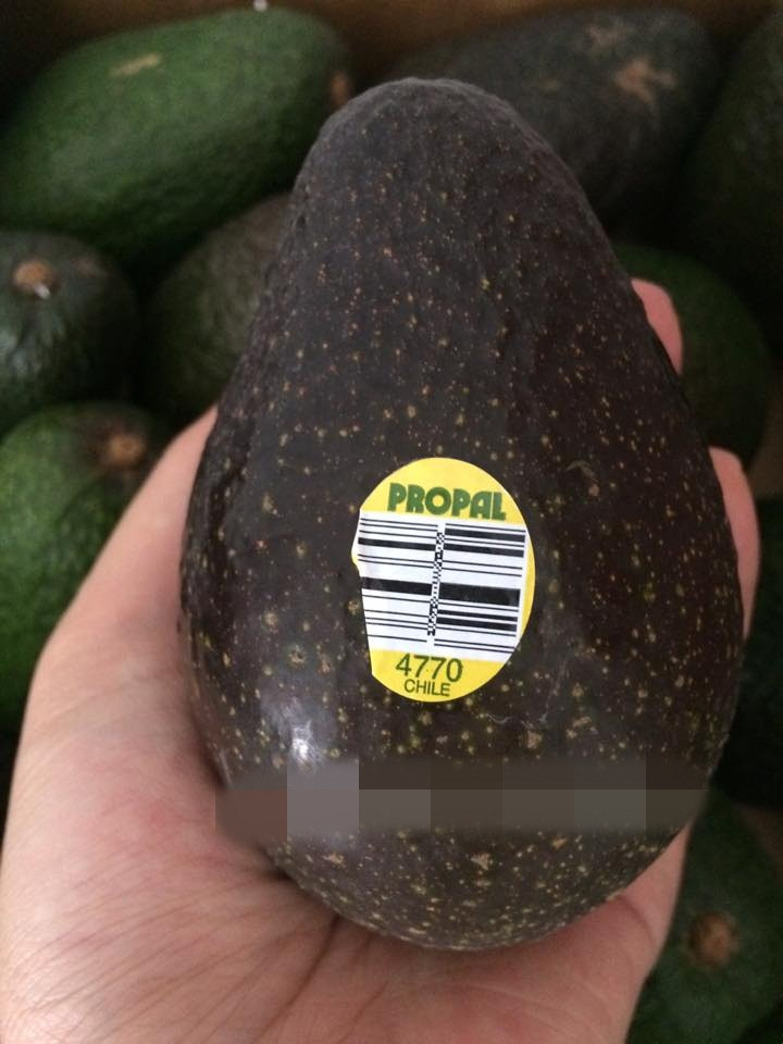 Nếu như bơ sáp trong nước có giá 40.000 - 50.000 đồng/kg thì bơ Chile được bán từ 270.000 - 350.000 đồng/kg. Ảnh: Fru.shimi.