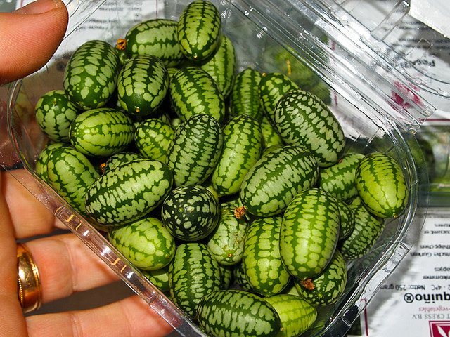 Lúc mới xuất hiện, dưa hấu Mexico (hay dưa hấu chuột) trở thành mặt hàng "hot" tại Việt Nam. Ảnh: Zing.