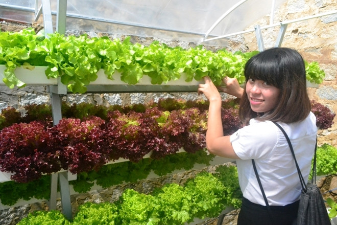 Ước tính nông trại của gia đình anh Linh trị giá hàng chục tỷ đồng. Ảnh: Cand.