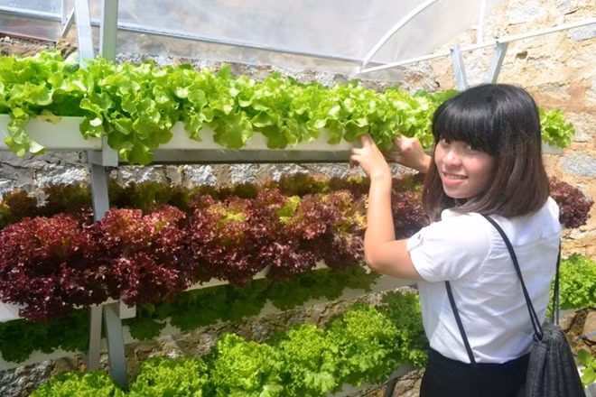 Ước tính nông trại của gia đình anh Linh trị giá hàng chục tỷ đồng. Ảnh: Cand.