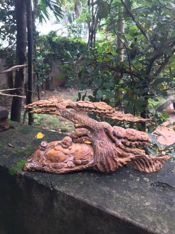 Loat bonsai go lua dep kho roi mat