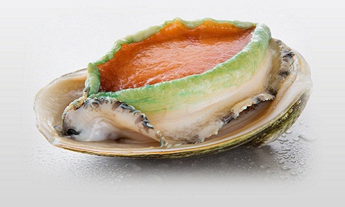 Bào ngư viền xanh Úc được giới nhà giàu Việt săn lùng không chỉ bởi hương vị thơm ngon mà còn giàu chất dinh dưỡng. Ảnh: Seafood Australia.