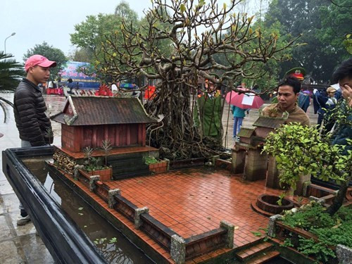 Một bonsai tiểu cảnh làng quê khác khiến người xem nể phục sự tài hoa của nghệ nhân. Ảnh: Tien Nguyen.