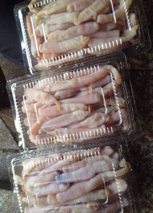 Sá sùng là một trong những hải sản quý hiếm và đắt đỏ tại Việt Nam. Ảnh: FB Van Anh Le.