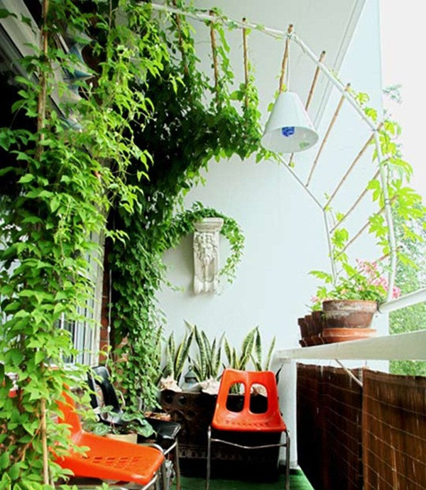 Cây leo xanh cùng một bộ bàn ghế nhỏ, đơn giản nhưng thanh tao và thơ mộng. Ảnh: Noithatap. Video: Trang trí ban công để có không gian thư giãn. Nguồn: VTC.