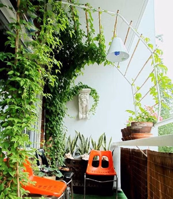 Cây leo xanh cùng một bộ bàn ghế nhỏ, đơn giản nhưng thanh tao và thơ mộng. Ảnh: Noithatap. Video: Trang trí ban công để có không gian thư giãn. Nguồn: VTC.