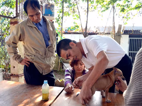 Anh Phạm Quốc Thắng sở hữu một trang trại chó rộng hơn 500m2 ở đường Lương Thế Vinh (Hà Nội). Ảnh: Cafebiz.