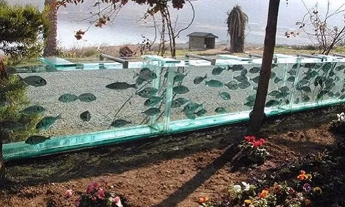  Bể cá cảnh trước giờ luôn là một lựa chọn tuyệt vời để nâng tầm đẳng cấp cho căn nhà của bạn. Thông thường, mọi người sẽ đặt bể cá trang trọng ở phòng khách, hoặc nếu cá tính hơn thì có thể thiết kế bể cá ngay gần giường nằm để tạo không gian thư giãn. Tuy nhiên, xây bể cá khổng lồ để làm…hàng rào bao quanh nhà thì chưa ai từng thử nghiệm, trừ vị đại gia Thổ Nhĩ Kỳ dưới đây.