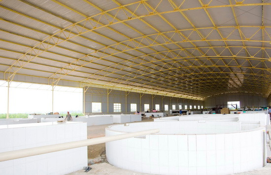 Hoàng Anh Gia Lai của bầu Đức cũng đầu tư 9 triệu USD để xây dựng nhà máy chế biến cao su hiện đại trên diện tích 5 ha tại Lào. Ảnh: HAGL Group.