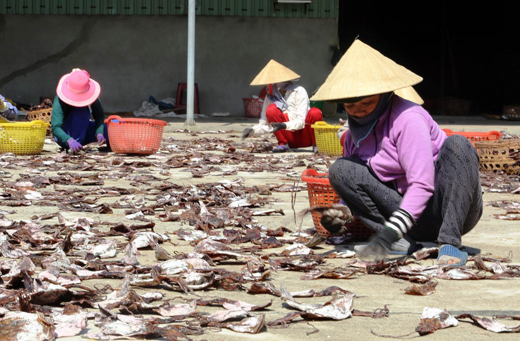 Sau khi trừ phí cho chuyến đi biển, ông Cam còn dư khoảng 1 tỷ đồng. Ảnh: Dân Việt.